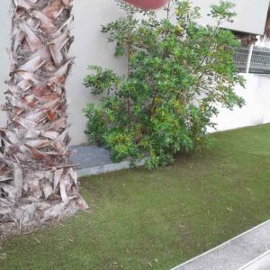 nettoyage-espaces-verts-residence